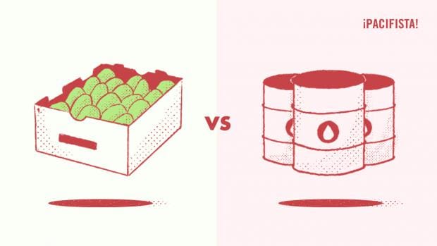aguacate vs petroleo