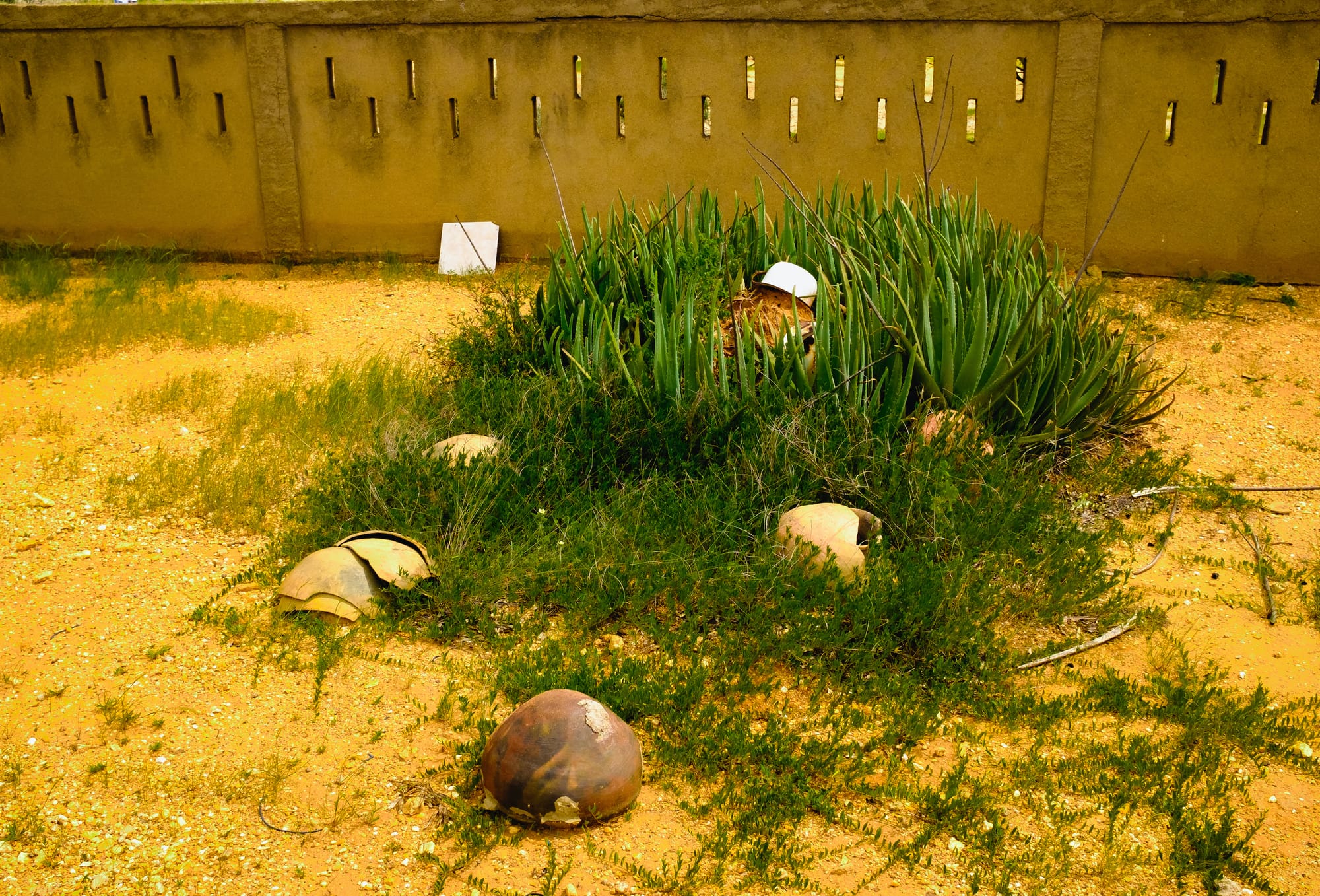 Túmulo ancestral em um cemitério Wayuú perto de Cabo de la Vela, La Guajira, Colômbia