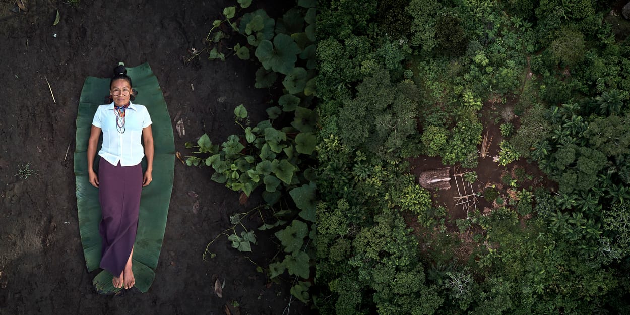 Vero detiada em uma folha de árvore ao lado de sua comunidade