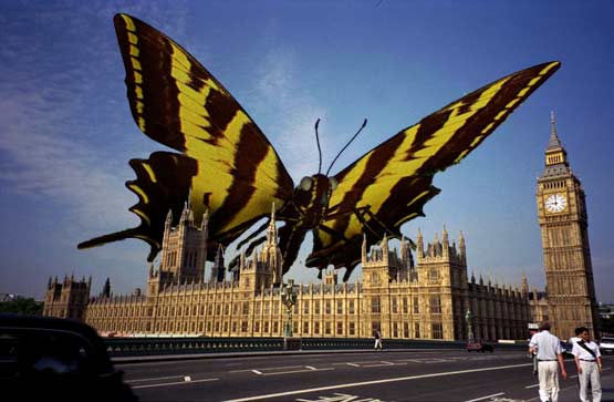 butterfly_parliament.jpg
