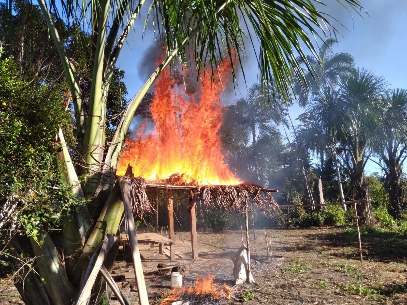 Operação de erradicação de cultivos de coca por parte do governo regional