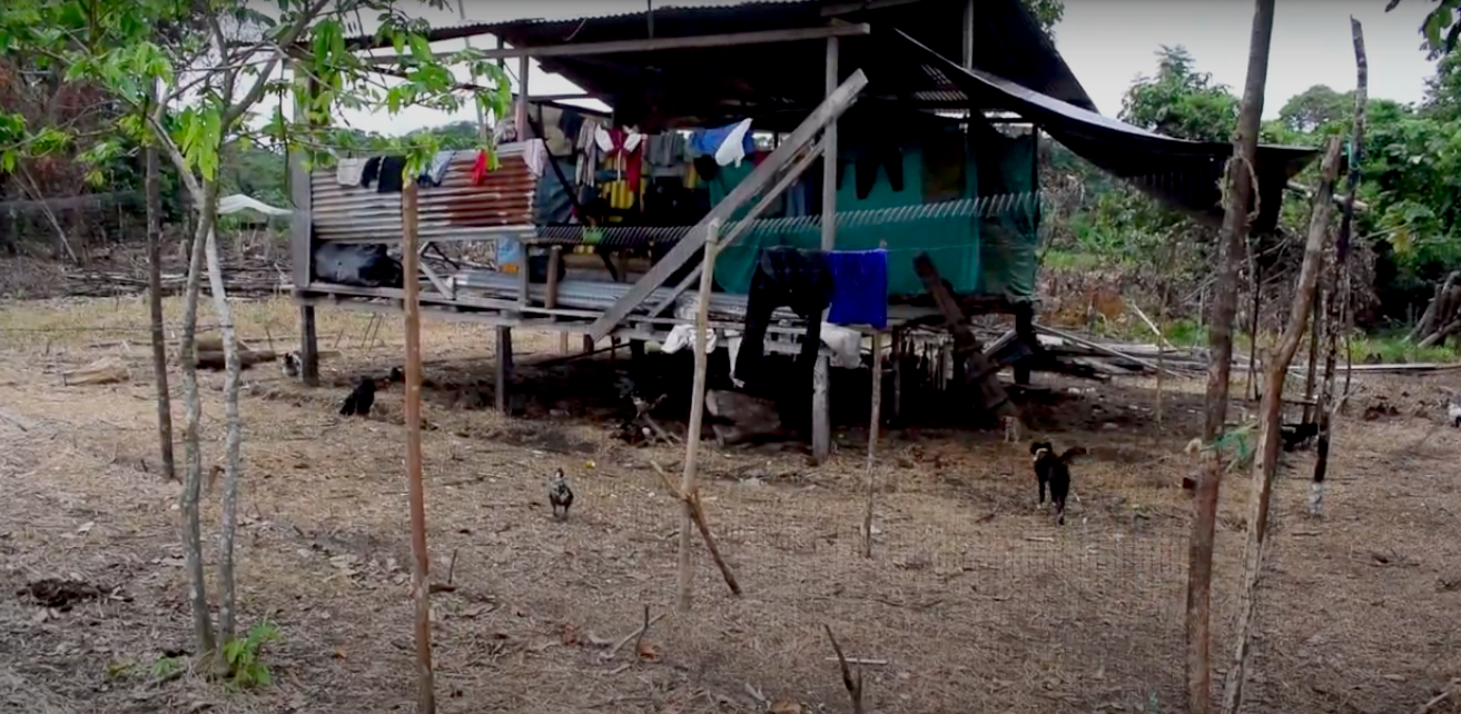 Casa elevada dos Awá