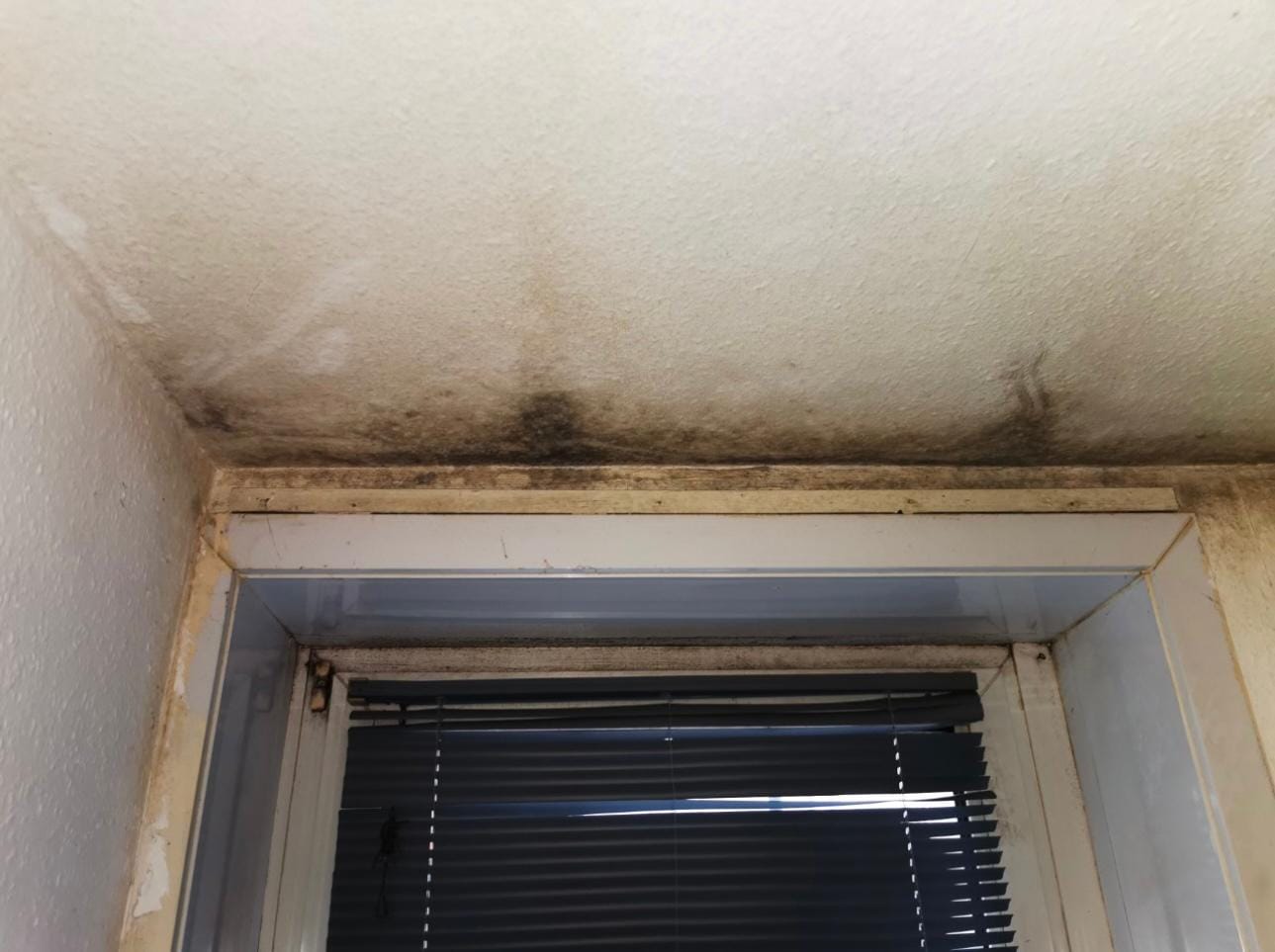 cc24dc07-1fdc-46d8-b55a-b298cb6c1a9e