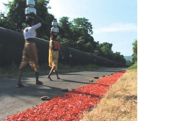 chillies