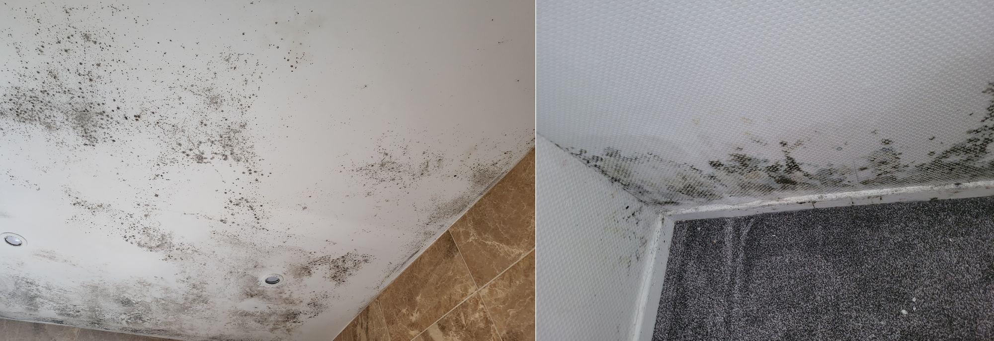 Black mould on the walls of O'Loughlin's home.