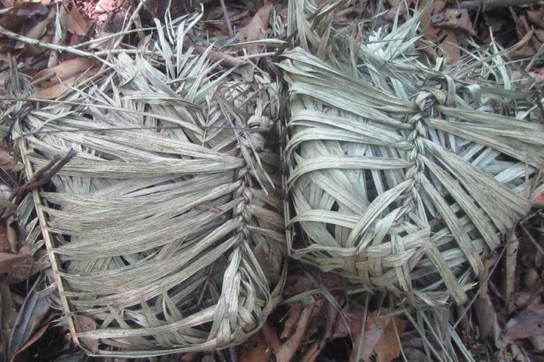 Cestos de folhas de árvores