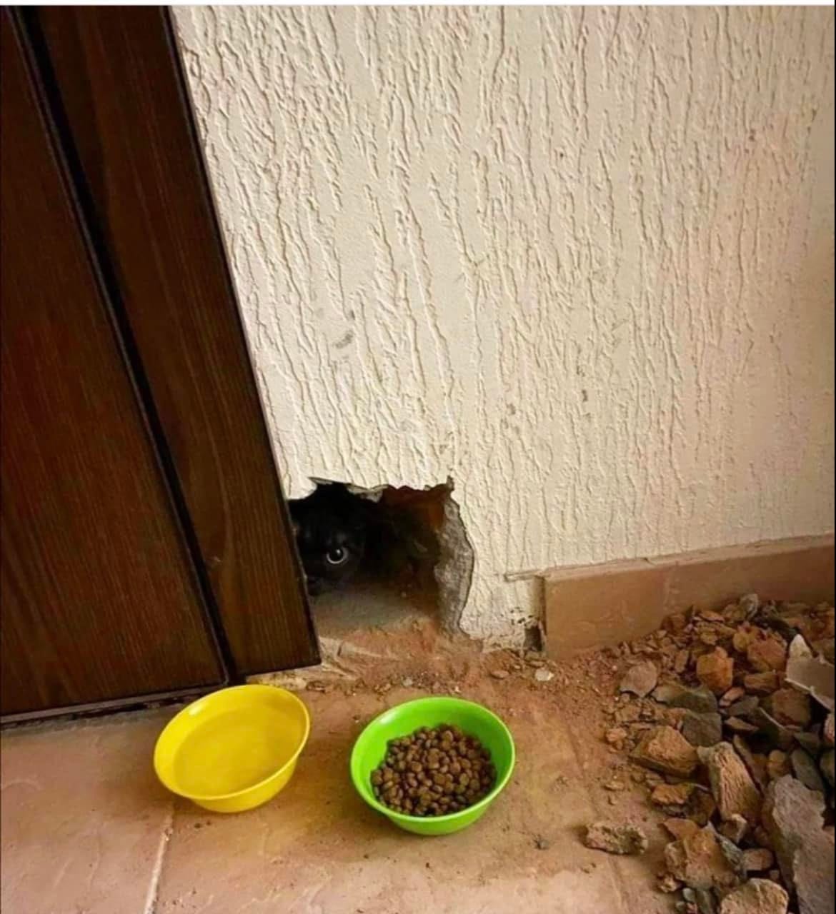 life hack from Dmitry Revnyuk.jpeg