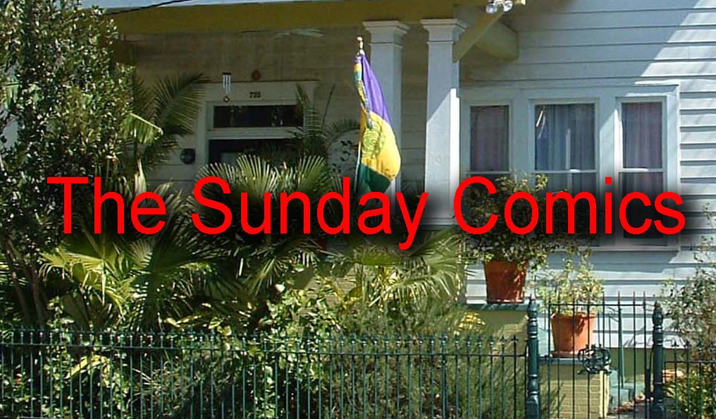The Sunday Comics