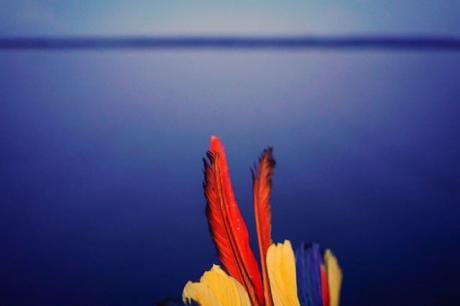 plumas en el ríod.jpeg