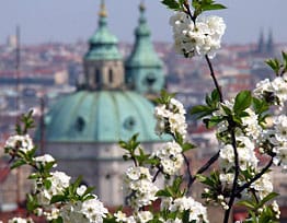 Prague during springtime