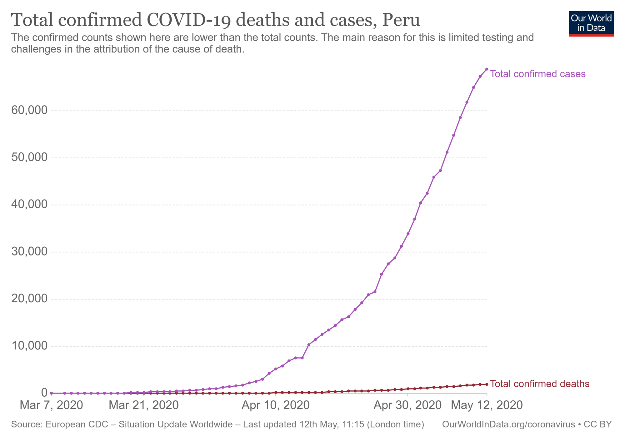 total-deaths-and-cases-covid-19.png