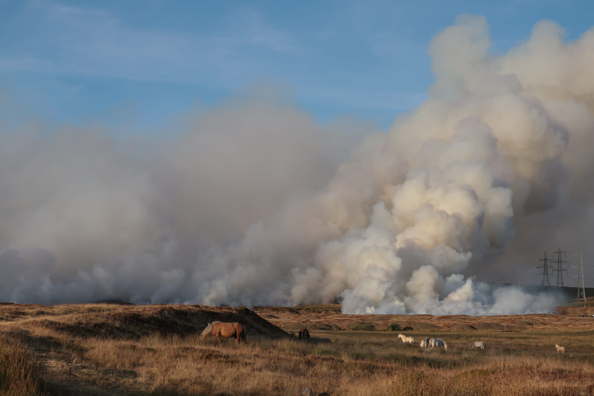 England is burning: We must fix our fragile food system
