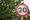 Government’s own research contradicts Sunak’s 20mph speed limit claim