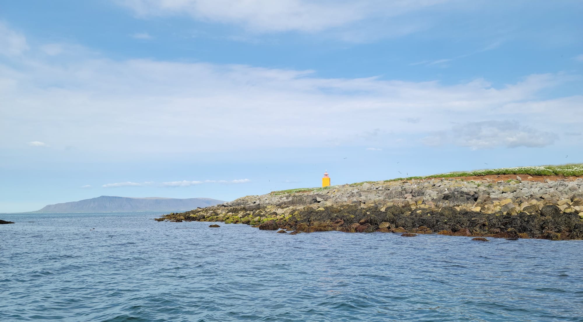 A photo of a small rocky island with a bright orange lighthouse and many wildflowers.