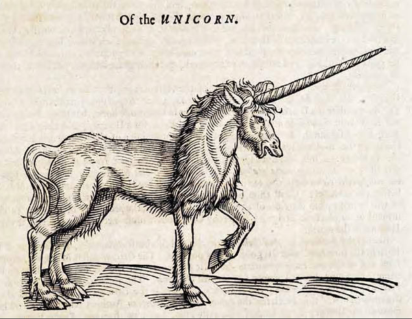 A pen-and-ink drawing of a unicorn, viewed side-on. The unicorn has a long horn and a wild mane.