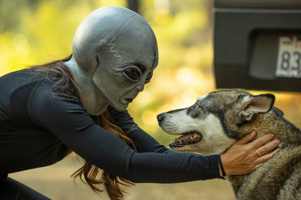 A photograph of a person with long brown hair wearing a rubber grey alien mask, bending down to look into the eyes of a very concerned dog.