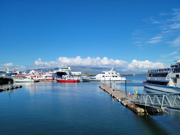 A photograph of the harbor of Reykjavík, Iceland, with matched blue sky and ocean, with a pier and many boats floating upon it.