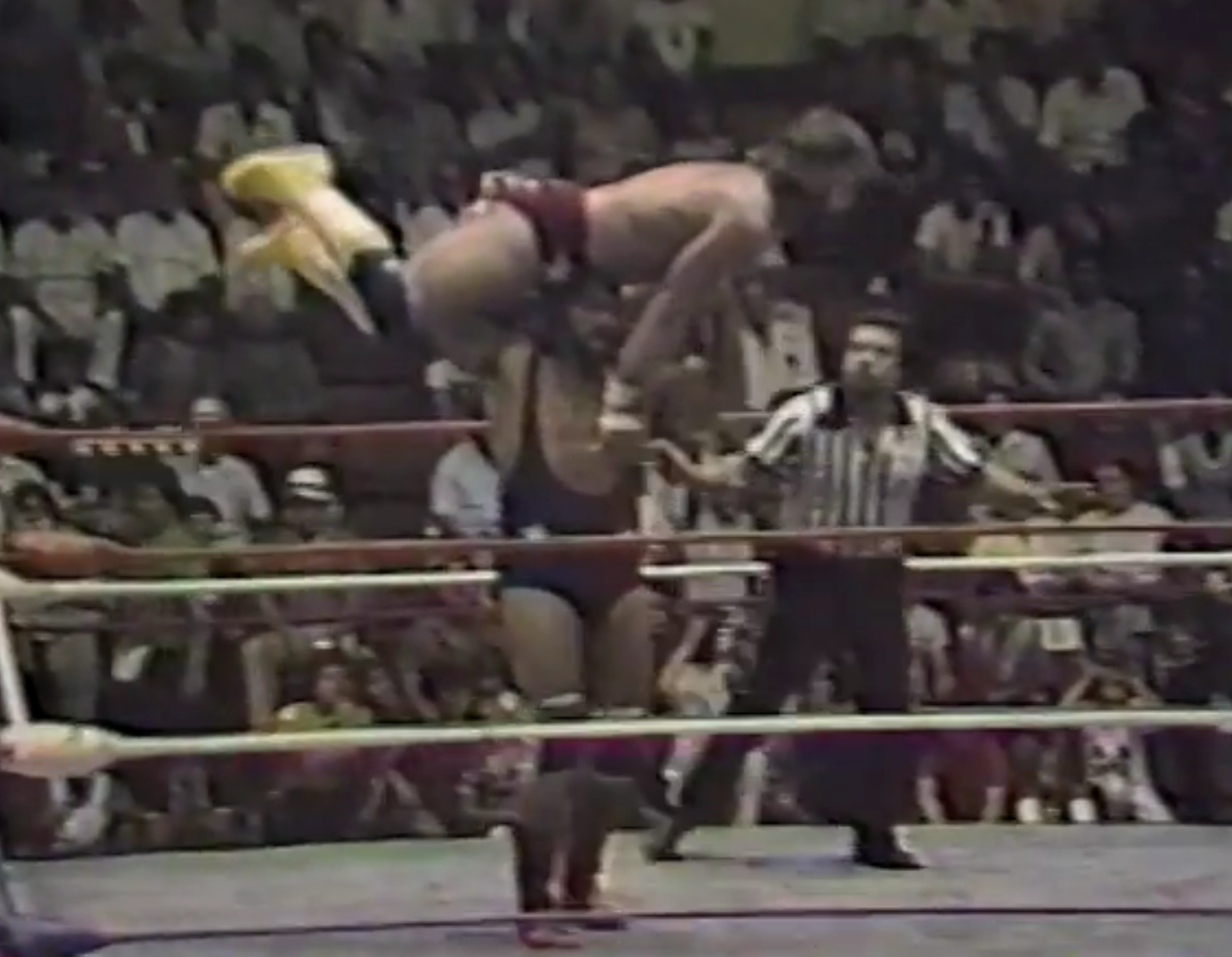 Hercules Ayala Stomps Randy Savage in Ponce