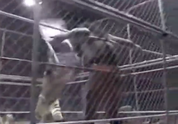 Joseph and Colette Discuss Rey Misterio Jr. vs. Juventud Guerrera