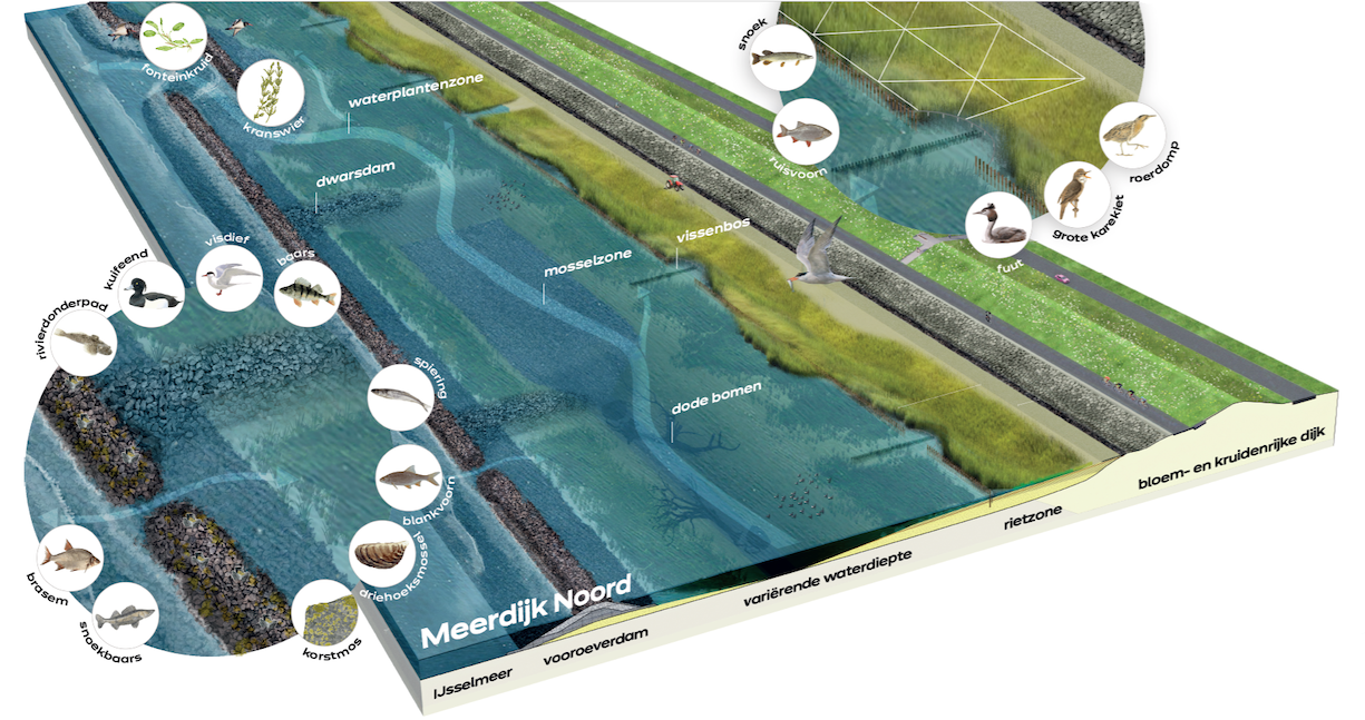 0611 vooroever Meerdijk Noord Lelystad