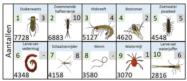 1203 waterdiertjes 2025