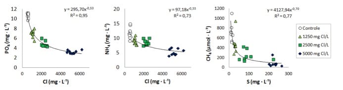 1303-03 fig3 diagramVerzilting