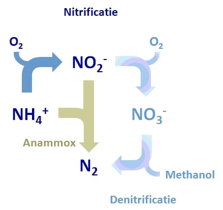 1304-02 fig1 spectraleNitrietmeting