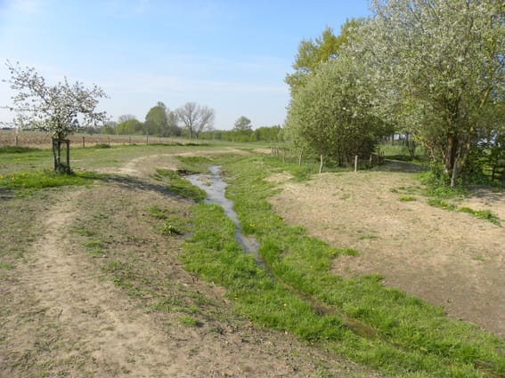 1305-12 fig1