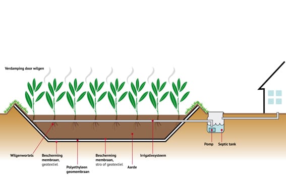 afbeelding 1 Schematische weergave van een wilgenzuivering