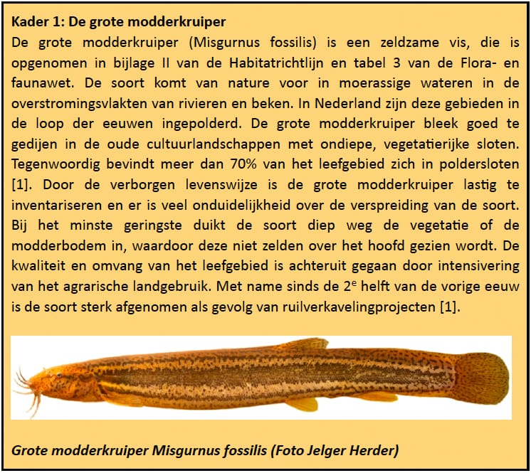 1410-04 kader1