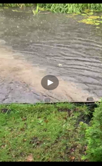 6. Video stills van overstorten in de Sleutelbloemweide