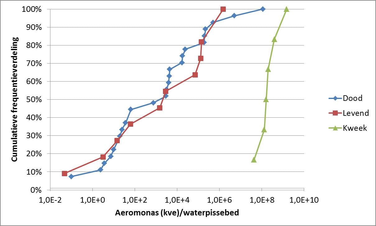 AeromonasAfbeelding 1