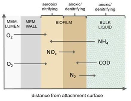 Afbeelding5