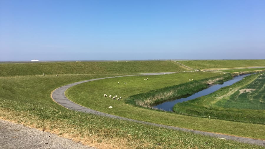 Antropomorfisme in het waterschap 900