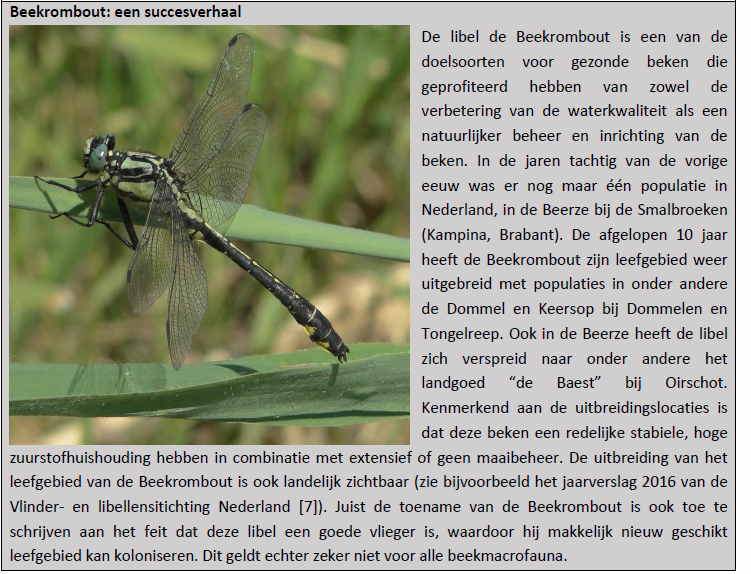 Artikel 1 kader2