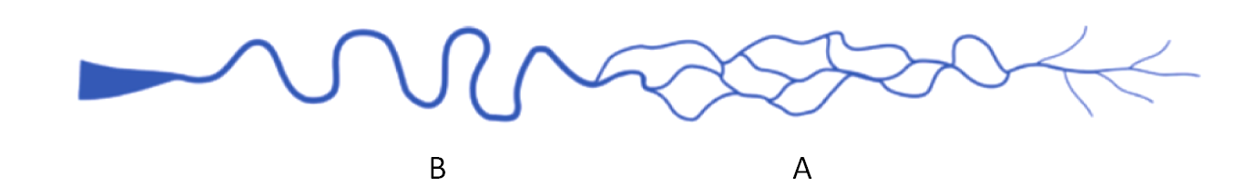 BK6 afbeelding 1b
