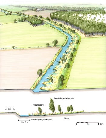 Beekherstel moerasbeek Aa en Maas