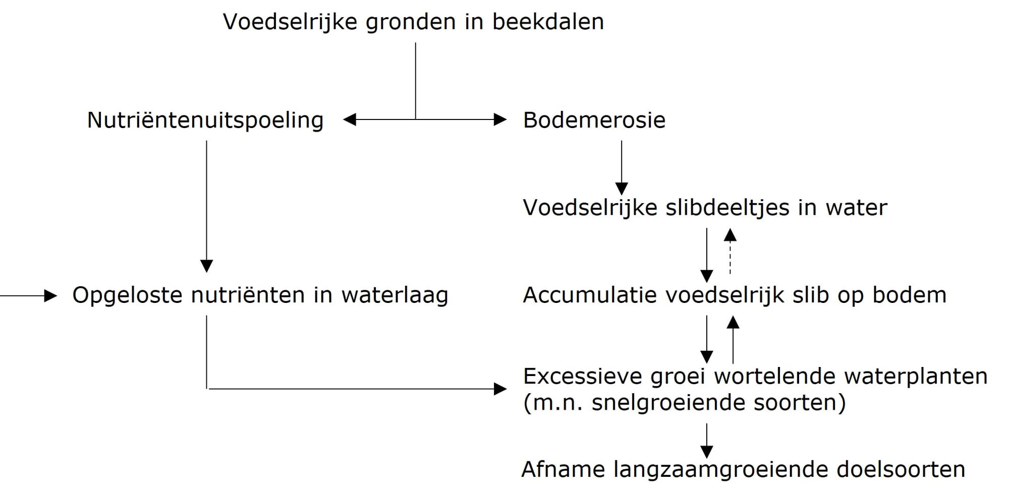 Beekslibafb4