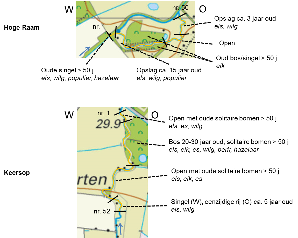 Beschmetafb1