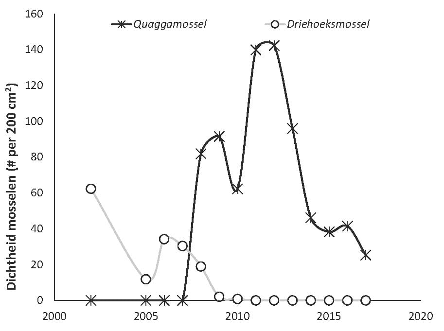 BieschbAfbeelding5