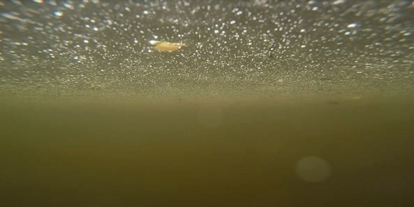 Bovenste waterlaag