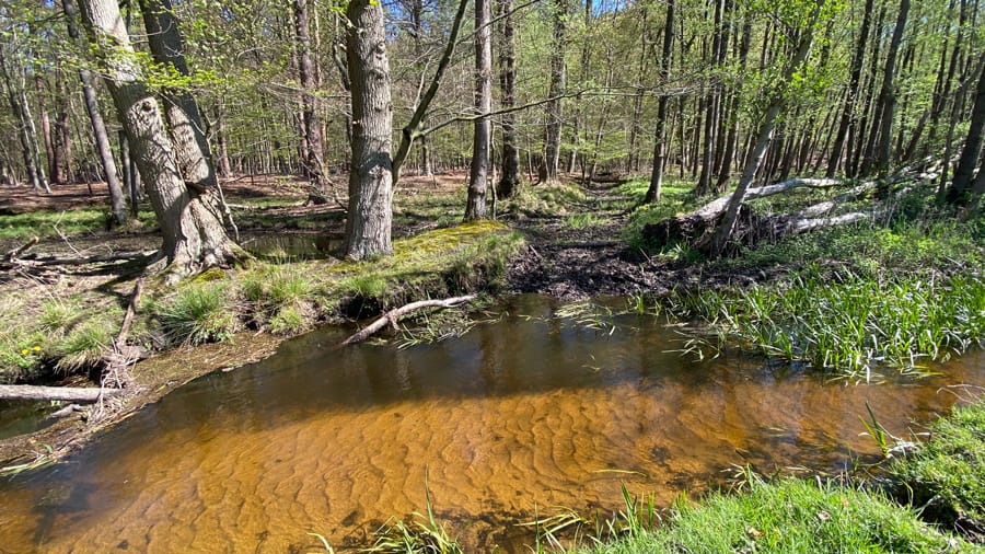 DEF Leuvenumse Beek 900