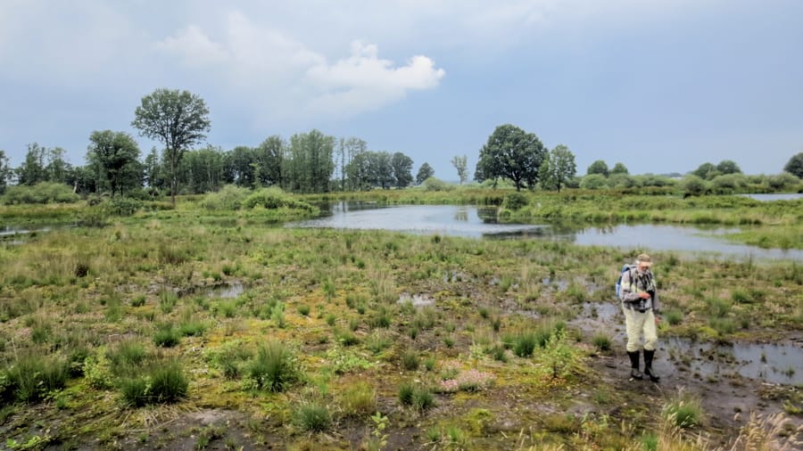 Empese Tondense Heide 900