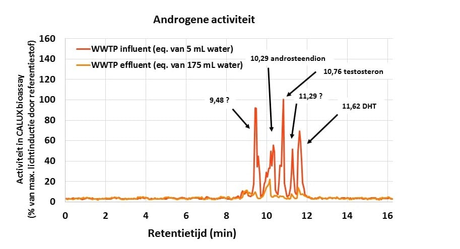 Figuur 2 androgene NLD
