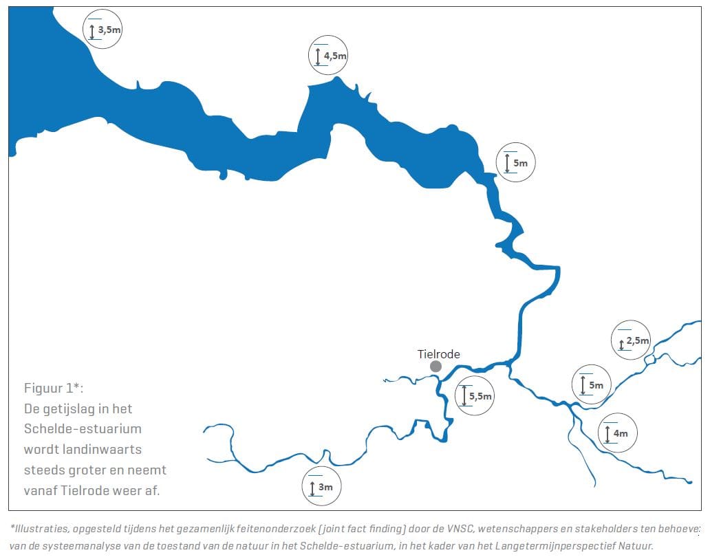 Getijslag Schelde
