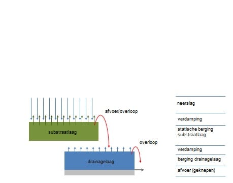 Groenblauwdakafb1