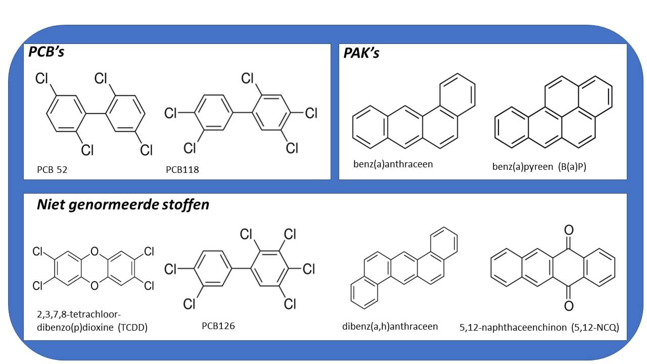 Houtman bioassays figuur 1