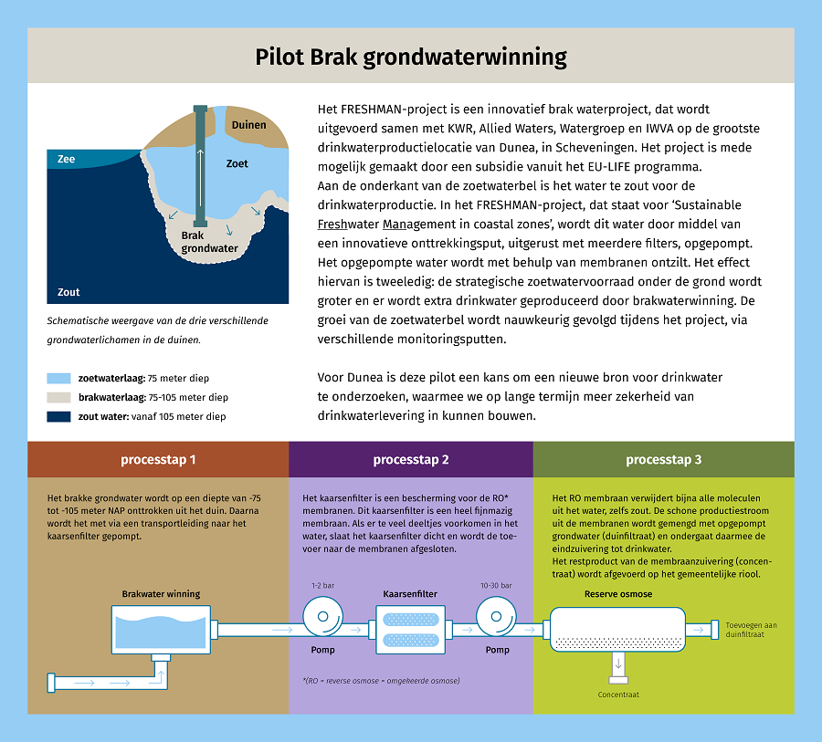 Infographic Dunea project brak grondwater