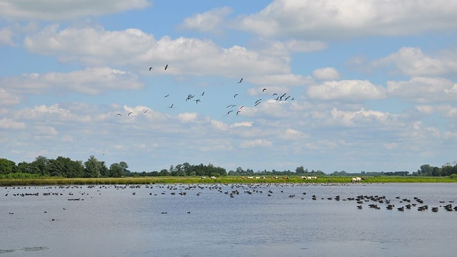 Aanleg van waterberging Willeskop van start gegaan
