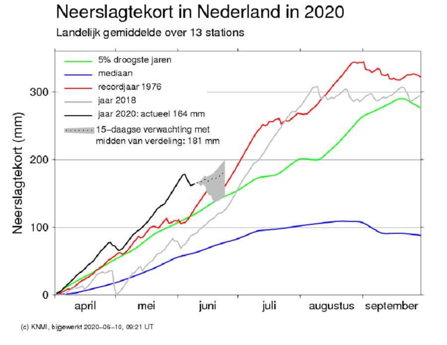Neerslagtekort 10 juni 2020